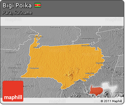 Political 3D Map of Bigi Poika, desaturated