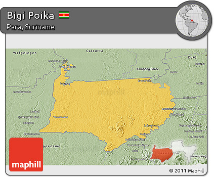 Savanna Style 3D Map of Bigi Poika