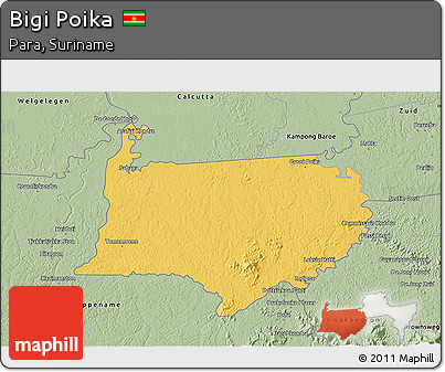 Savanna Style 3D Map of Bigi Poika