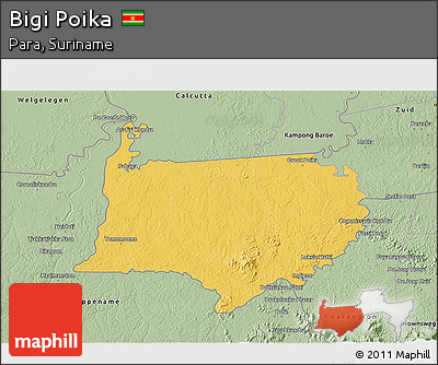 Savanna Style 3D Map of Bigi Poika