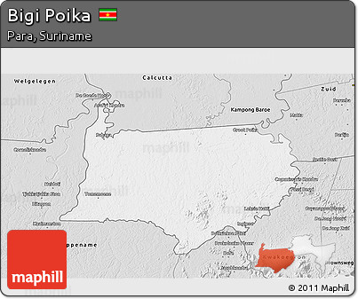 Silver Style 3D Map of Bigi Poika