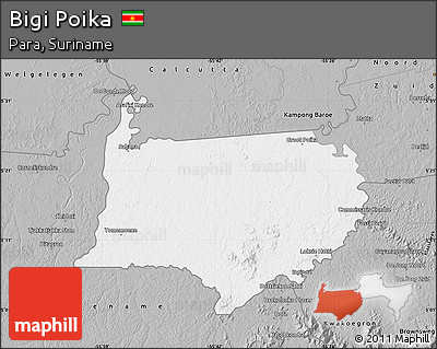 Gray Map of Bigi Poika