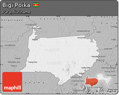 Gray Map of Bigi Poika