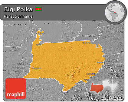 Political Map of Bigi Poika, desaturated