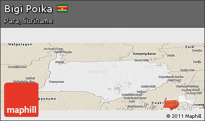 Classic Style Panoramic Map of Bigi Poika