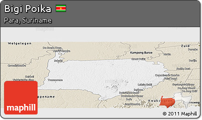 Classic Style Panoramic Map of Bigi Poika
