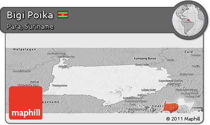 Gray Panoramic Map of Bigi Poika