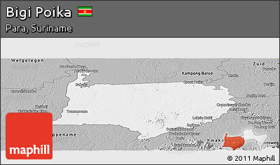 Gray Panoramic Map of Bigi Poika