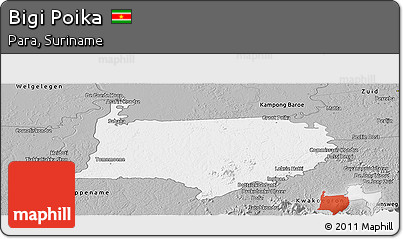 Gray Panoramic Map of Bigi Poika