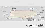 Shaded Relief Panoramic Map of Bigi Poika, desaturated