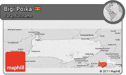 Silver Style Panoramic Map of Bigi Poika