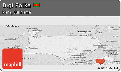Silver Style Panoramic Map of Bigi Poika