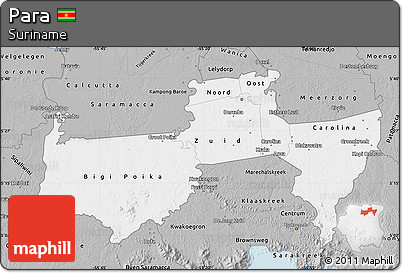 Gray Map of Para