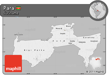 Gray Map of Para, single color outside