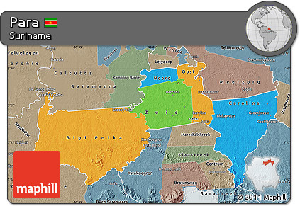 Political Map of Para, semi-desaturated