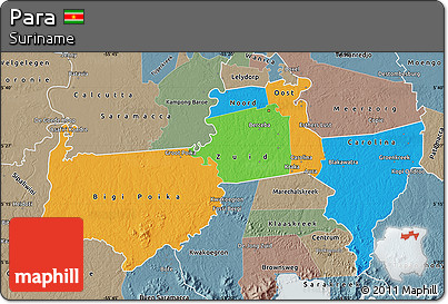 Political Map of Para, semi-desaturated