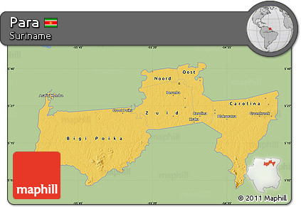 Savanna Style Map of Para, single color outside