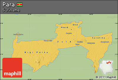 Savanna Style Map of Para, single color outside