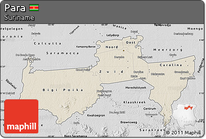 Shaded Relief Map of Para, desaturated