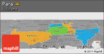 Political Panoramic Map of Para, desaturated