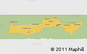 Savanna Style Panoramic Map of Para, single color outside