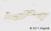 Shaded Relief Panoramic Map of Para, cropped outside