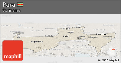 Shaded Relief Panoramic Map of Para, lighten
