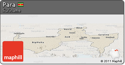 Shaded Relief Panoramic Map of Para, lighten