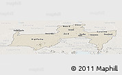 Shaded Relief Panoramic Map of Para, lighten