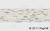 Shaded Relief Panoramic Map of Para, semi-desaturated