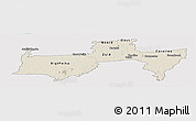 Shaded Relief Panoramic Map of Para, single color outside