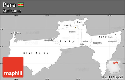 Gray Simple Map of Para, single color outside