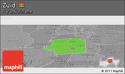 Political Panoramic Map of Zuid, desaturated