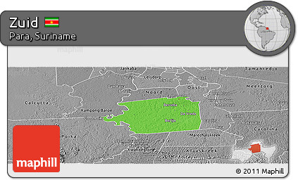 Political Panoramic Map of Zuid, desaturated