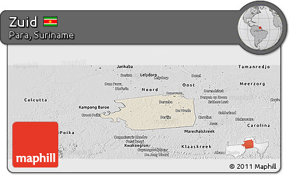 Shaded Relief Panoramic Map of Zuid, desaturated