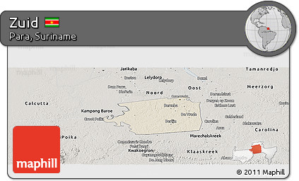 Shaded Relief Panoramic Map of Zuid, semi-desaturated