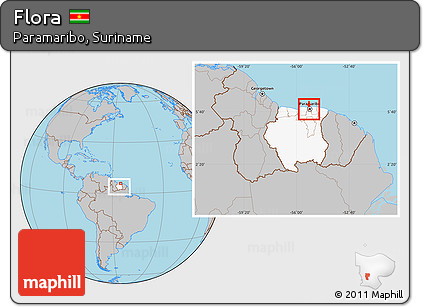 Gray Location Map of Flora, highlighted country, highlighted parent region, within the entire country