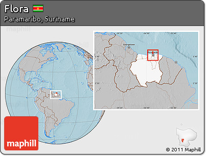 Gray Location Map of Flora, highlighted country, highlighted parent region, within the entire country, hill shading