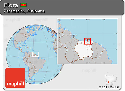 Gray Location Map of Flora, highlighted country, highlighted parent region