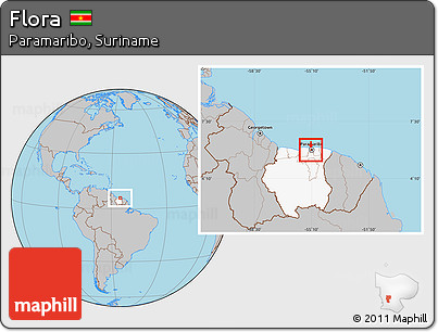 Gray Location Map of Flora, highlighted country, highlighted parent region