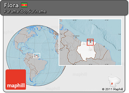 Gray Location Map of Flora, highlighted country, highlighted parent region, hill shading