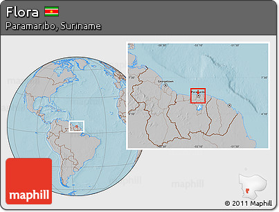 Gray Location Map of Flora, highlighted parent region, hill shading