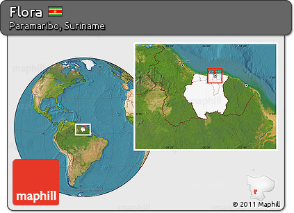 Satellite Location Map of Flora, highlighted country, within the entire country