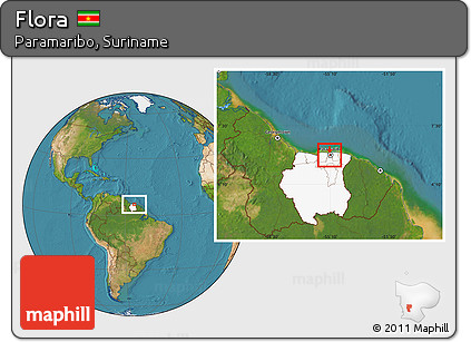 Satellite Location Map of Flora, highlighted country