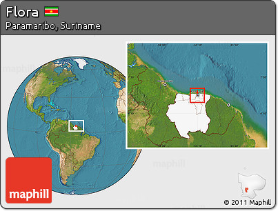 Satellite Location Map of Flora, highlighted country