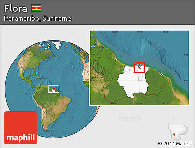 Satellite Location Map of Flora, highlighted country