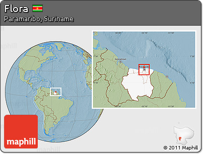 Savanna Style Location Map of Flora, highlighted country, highlighted parent region, hill shading