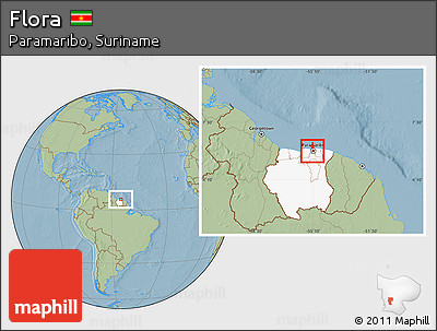 Savanna Style Location Map of Flora, highlighted country, highlighted parent region, hill shading