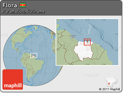 Savanna Style Location Map of Flora, highlighted country, hill shading