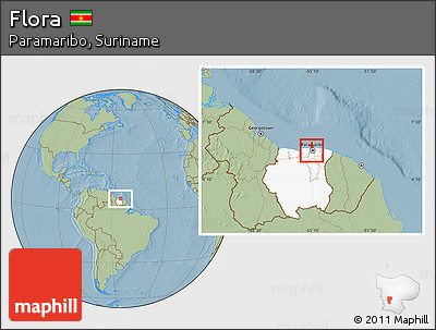 Savanna Style Location Map of Flora, highlighted country, hill shading